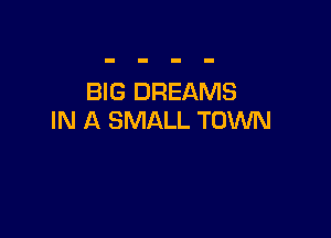 BIG DREAMS

IN A SMALL TOWN