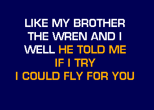LIKE MY BROTHER
THE VVREN AND I
KNELL HE TOLD ME
IF I TRY
I COULD FLY FOR YOU

g