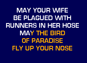 MAY YOUR WIFE
BE PLAGUED WITH
RUNNERS IN HER HOSE
MAY THE BIRD
0F PARADISE
FLY UP YOUR NOSE