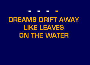 DREAMS DRIFT AWAY
LIKE LEAVES

ON THE WATER
