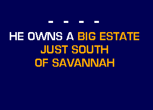 HE OWNS A BIG ESTATE
JUST SOUTH

OF SAVANNAH