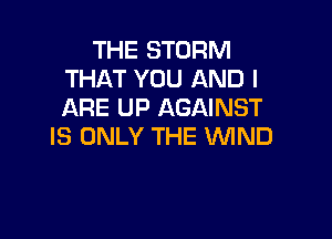 THE STORM
THAT YOU AND I
ARE UP AGAINST

IS ONLY THE WND