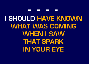 I SHOULD HAVE KNOWN
WHAT WAS COMING
WHEN I SAW
THAT SPARK
IN YOUR EYE