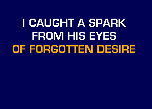 I CAUGHT A SPARK
FROM HIS EYES
0F FORGOTTEN DESIRE