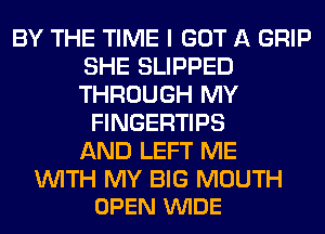 BY THE TIME I GOT A GRIP
SHE SLIPPED
THROUGH MY

FINGERTIPS
AND LEFT ME

WITH MY BIG MOUTH
OPEN VUIDE