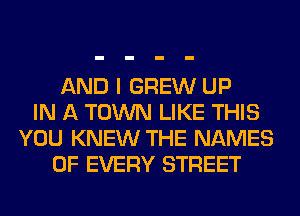 AND I GREW UP
IN A TOWN LIKE THIS
YOU KNEW THE NAMES
OF EVERY STREET