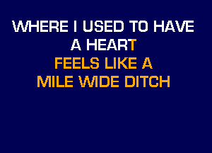 WHERE I USED TO HAVE
A HEART
FEELS LIKE A
MILE WIDE DITCH