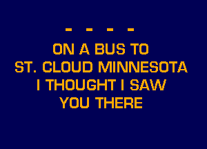 ON A BUS T0
ST. CLOUD MINNESOTA

I THOUGHT I SAW
YOU THERE