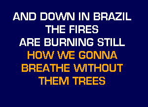 AND DOWN IN BRAZIL
THE FIRES
ARE BURNING STILL
HOW WE GONNA
BREATHE WITHOUT
THEM TREES