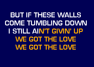 BUT IF THESE WALLS
COME TUMBLING DOWN
I STILL AIN'T GIVIM UP
WE GOT THE LOVE
WE GOT THE LOVE