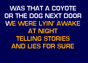 WAS THAT A COYOTE
OR THE DOG NEXT DOOR
WE WERE LYIN' AWAKE

AT NIGHT
TELLING STORIES
AND LIES FOR SURE