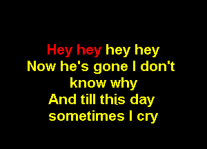 Hey hey hey hey
Now he's gone I don't

know why
And till this day
sometimes I cry