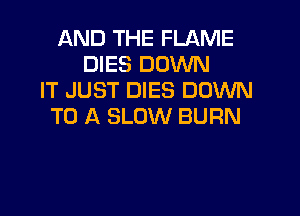 AND THE FLAME
DIES DOWN
IT JUST DIES DOWN
TO A SLOW BURN