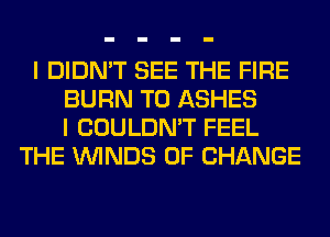 I DIDN'T SEE THE FIRE
BURN T0 ASHES
I COULDN'T FEEL
THE WINDS OF CHANGE