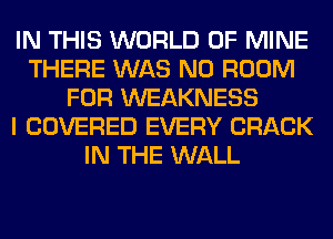 IN THIS WORLD OF MINE
THERE WAS N0 ROOM
FOR WEAKNESS
I COVERED EVERY CRACK
IN THE WALL