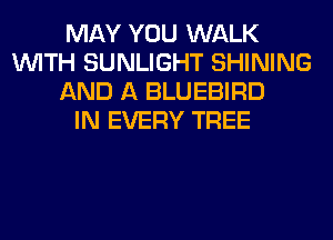 MAY YOU WALK
WITH SUNLIGHT SHINING
AND A BLUEBIRD
IN EVERY TREE