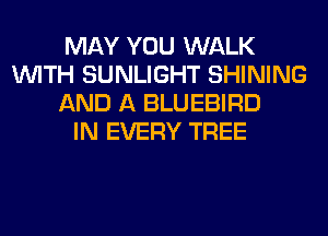 MAY YOU WALK
WITH SUNLIGHT SHINING
AND A BLUEBIRD
IN EVERY TREE