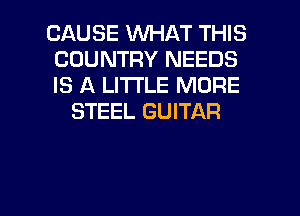CAUSE WHAT THIS
COUNTRY NEEDS
IS A LITTLE MORE

STEEL GUITAR

g