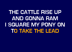 THE CATTLE RISE UP
AND GONNA RAM
I SQUARE MY PONY ON
TO TAKE THE LEAD