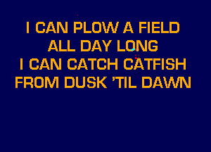 I CAN PLOW A FIELD
ALL DAY LONG
I CAN CATCH CATFISH
FROM DUSK 'TIL DAWN