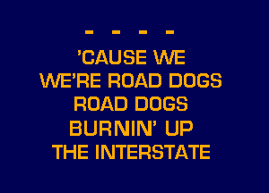 'CAUSE WE
WE'RE ROAD DOGS
ROAD DOGS
BURNIN' UP
THE INTERSTATE