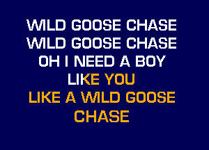 WILD GOOSE CHASE
1WILD GOOSE CHASE
OH I NEED A BOY
LIKE YOU
LIKE A WLD GOOSE

CHASE