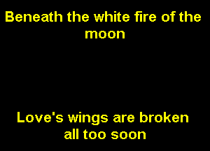 Beneath the white fire of the
moon

Love's wings are broken
all too soon