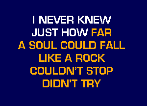 I NEVER KNEW
JUST HOW FAR
A SOUL COULD FALL
LIKE A ROCK
COULDN'T STOP
DIDN'T TRY