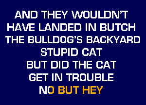 AND THEY WOULDN'T

HAVE LANDED IN BUTCH
THE BULLDOG'S BACKYARD

STUPID CAT
BUT DID THE CAT
GET IN TROUBLE

N0 BUT HEY