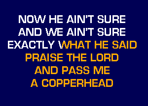 NOW HE AIN'T SURE
AND WE AIN'T SURE
EXACTLY WHAT HE SAID
PRAISE THE LORD
AND PASS ME
A COPPERHEAD