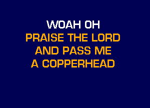 WOAH 0H
PRAISE THE LORD
AND PASS ME

A COPPERHEAD