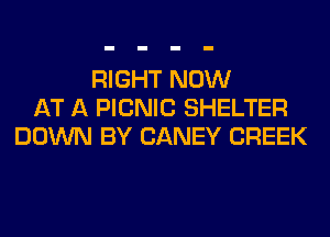 RIGHT NOW
AT A PICNIC SHELTER
DOWN BY CANEY CREEK