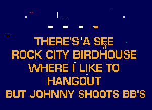 I
THERE'S'A'SlgE
ROCK CITY BIRDHOUSE
WHERE I' LIKE TO
HANGOUT
BUT JOHNNY SHOOTS 33's
