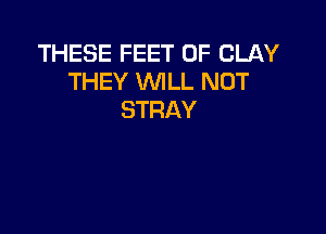 THESE FEET 0F CLAY
THEY WILL NOT
STRAY