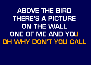 ABOVE THE BIRD
THERE'S A PICTURE
ON THE WALL
ONE OF ME AND YOU
0H WHY DON'T YOU CALL