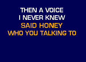 THEN A VOICE
I NEVER KNEW

SAID HONEY

WHO YOU TALKING T0