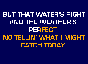 BUT THAT WATER'S RIGHT
AND THE WEATHER'S
PERFECT
N0 TELLIM WHAT I MIGHT
CATCH TODAY