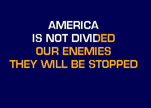 AMERICA
IS NOT DIVIDED
OUR ENEMIES
THEY WILL BE STOPPED