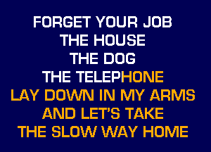 FORGET YOUR JOB
THE HOUSE
THE DOG
THE TELEPHONE
LAY DOWN IN MY ARMS
AND LET'S TAKE
THE SLOW WAY HOME
