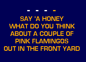 SAY 'A HONEY
WHAT DO YOU THINK
ABOUT A COUPLE 0F

PINK FLAMINGOS
OUT IN THE FRONT YARD