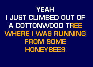 YEAH
I JUST CLIMBED OUT OF
A COTTONWOOD TREE
WHERE I WAS RUNNING
FROM SOME
HONEYBEES