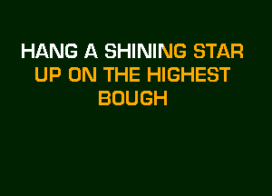 HANG A SHINING STAR
UP ON THE HIGHEST
BOUGH