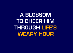 A BLOSSOM
T0 CHEER HIM

THROUGH LIFE'S
WEARY HOUR