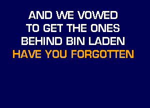 AND WE VOWED
TO GET THE ONES
BEHIND BIN LADEN
HAVE YOU FORGOTTEN