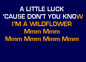 A LITTLE LUCK
'CAUSE DON'T YOU KNOW
I'M A VVILDFLOWER
Mmm Mmm
Mmm Mmm Mmm Mmm