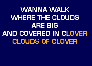 WANNA WALK
WHERE THE CLOUDS
ARE BIG
AND COVERED IN CLOVER
CLOUDS 0F CLOVER