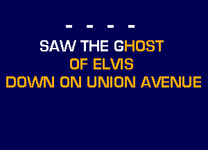 SAW THE GHOST
0F ELVIS

DOWN ON UNION AVENUE