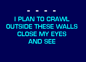 I PLAN TO CRAWL
OUTSIDE THESE WALLS
CLOSE MY EYES
AND SEE