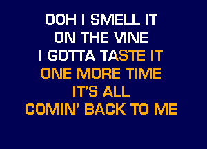 00H I SMELL IT
ON THE VINE
I GOTTA TASTE IT
ONE MORE TIME
IT'S ALL
COMIN' BACK TO ME