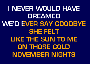 I NEVER WOULD HAVE
DREAMED
WE'D EVER SAY GOODBYE
SHE FELT
LIKE THE SUN TO ME
ON THOSE COLD
NOVEMBER NIGHTS